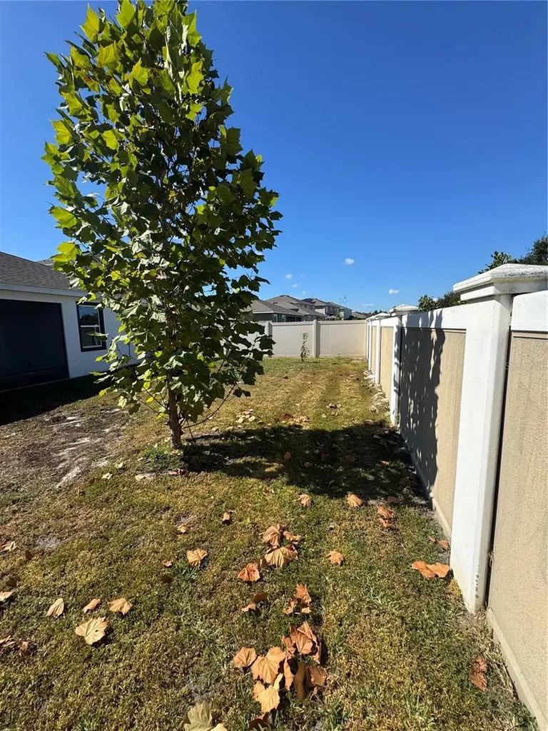 10664 Tally Fawn Loop San Antonio FL 33576
