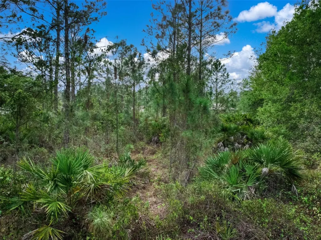 4814 Lakewood Road Sebring FL 33875