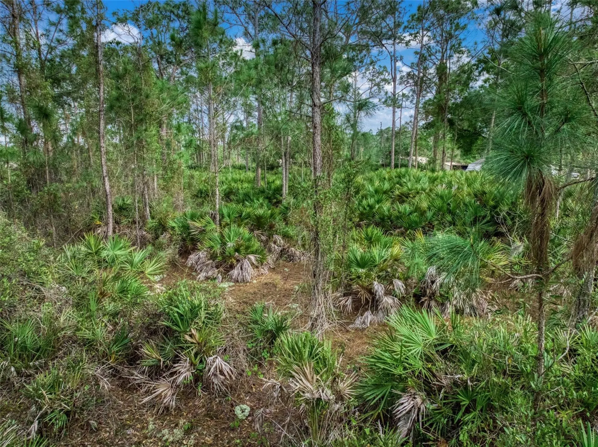 4814 Lakewood Road Sebring FL 33875