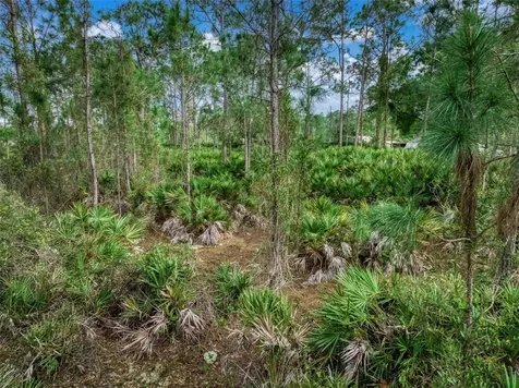 4814 Lakewood Road Sebring FL 33875