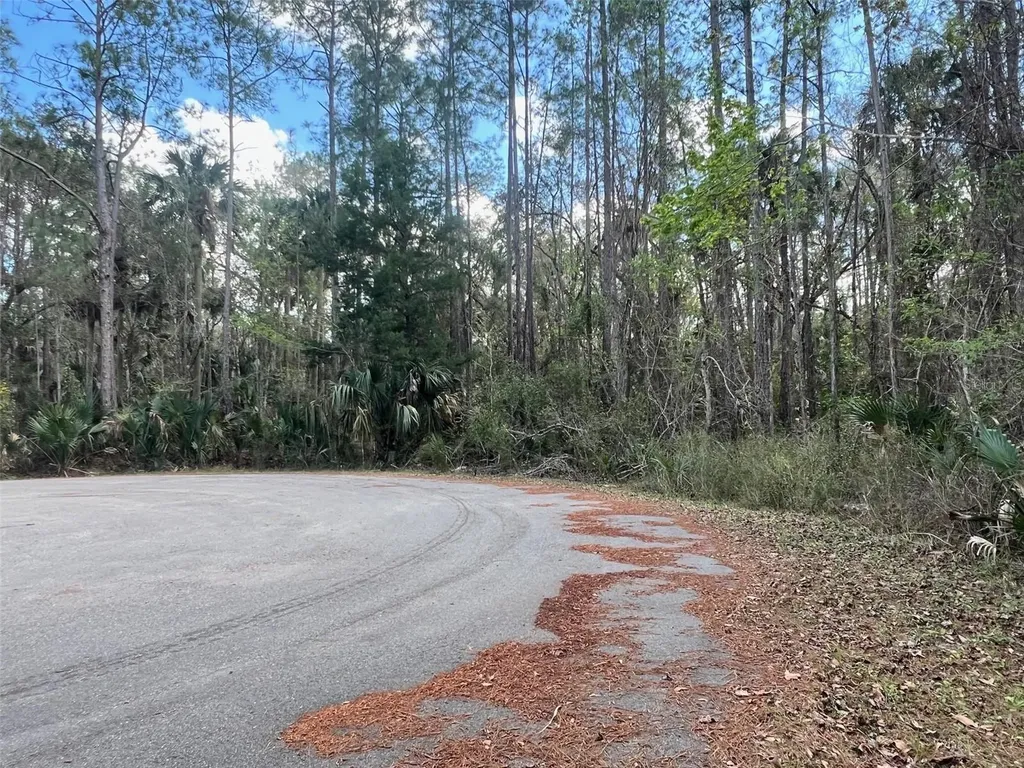 Tomahawk Trail Deland FL 32720