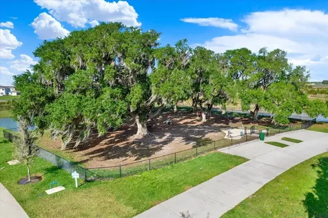 11307 Linden Depot Road San Antonio FL 33576