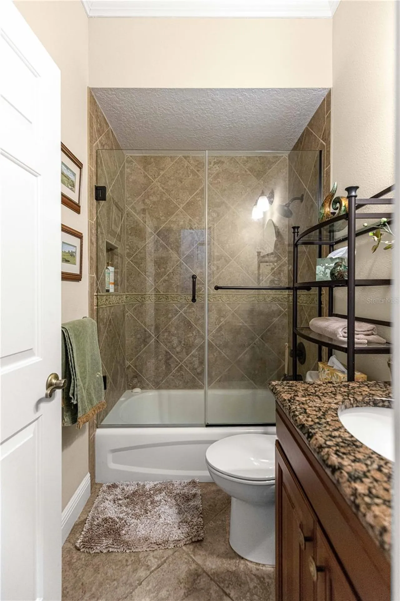 1314 Camero Drive The Villages FL 32159