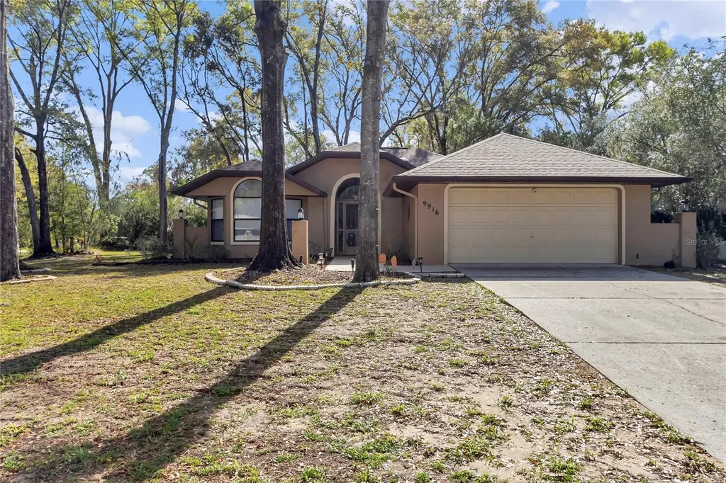 9916 SW 189th Circle Dunnellon FL 34432
