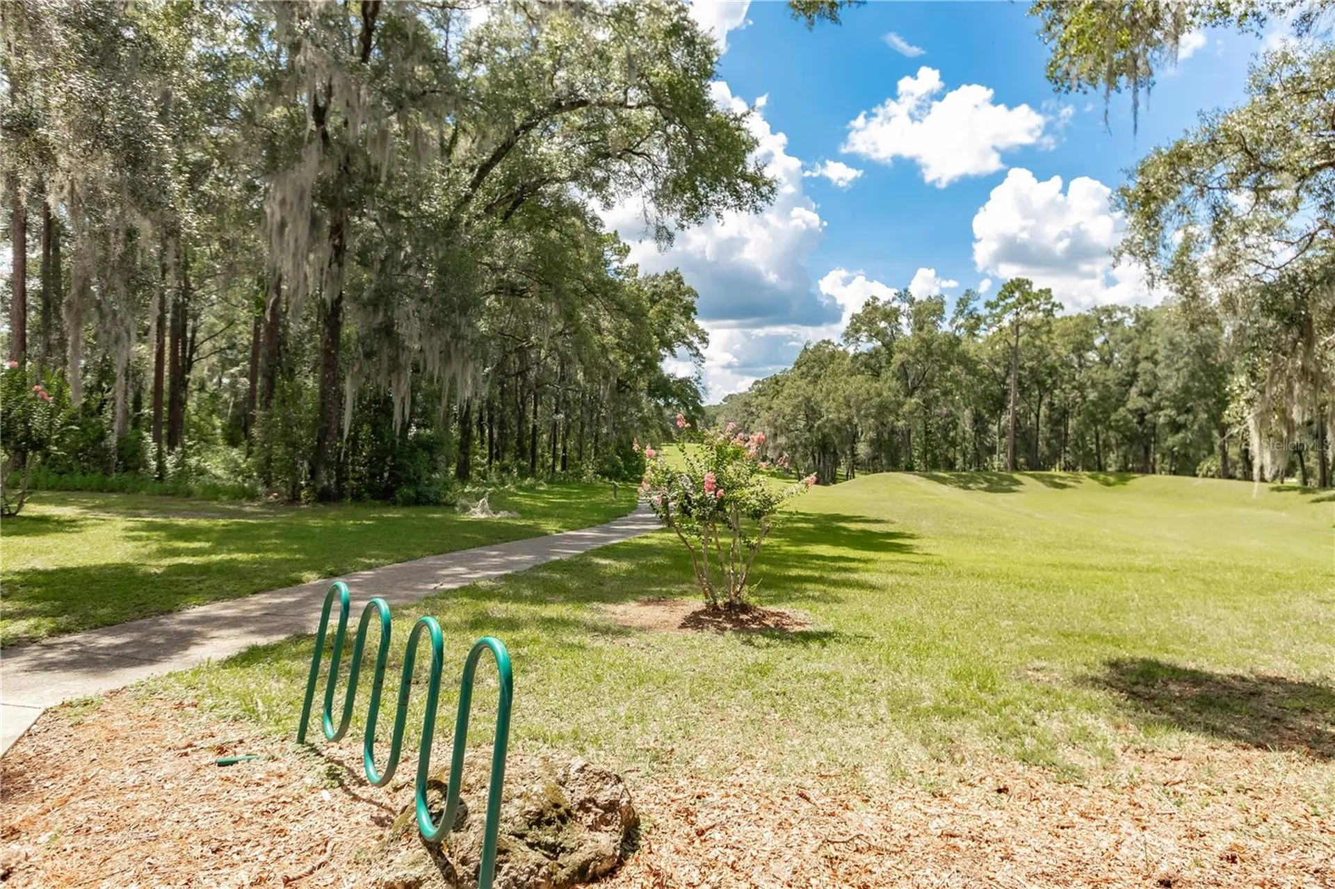 9916 SW 189th Circle Dunnellon FL 34432
