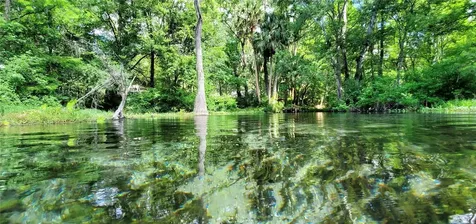 9916 SW 189th Circle Dunnellon FL 34432