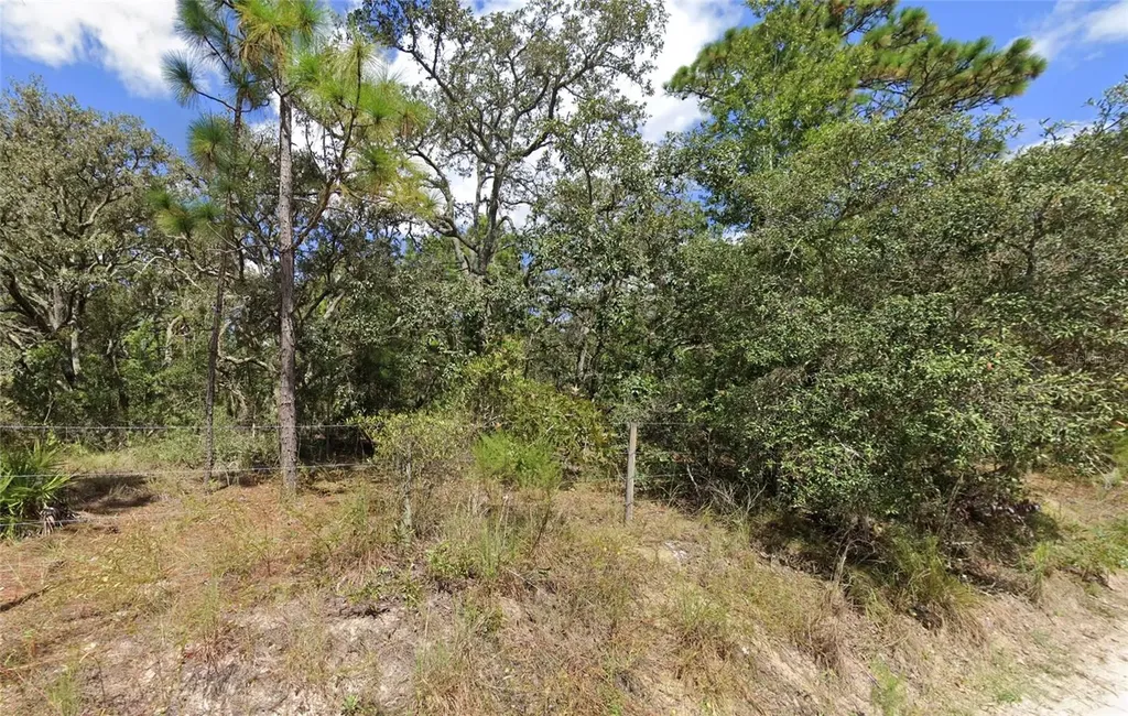 16513-16515 Breakwater Lane Spring Hill FL 34610