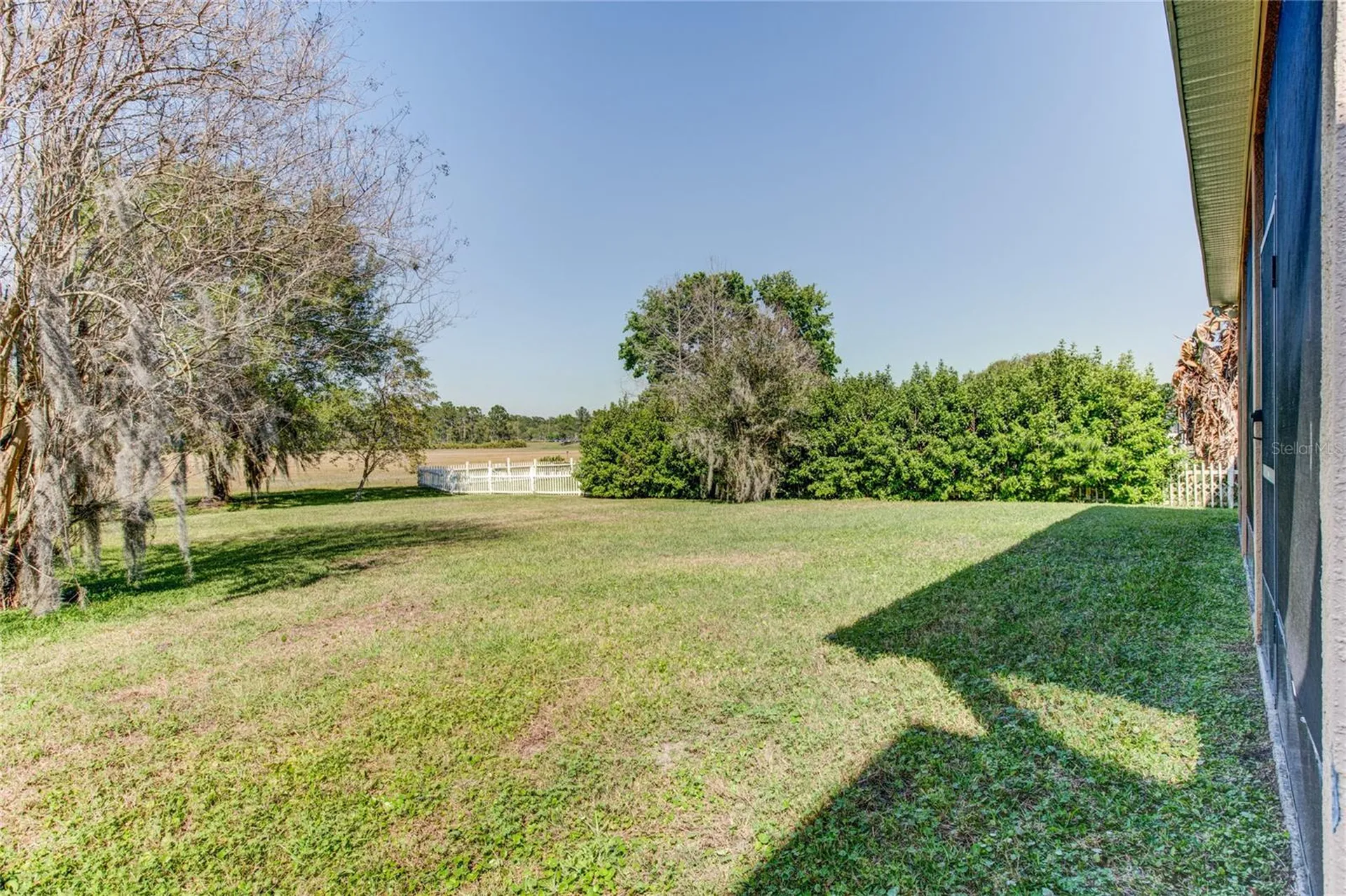 1551 Amaryllis Circle Orlando FL 32825