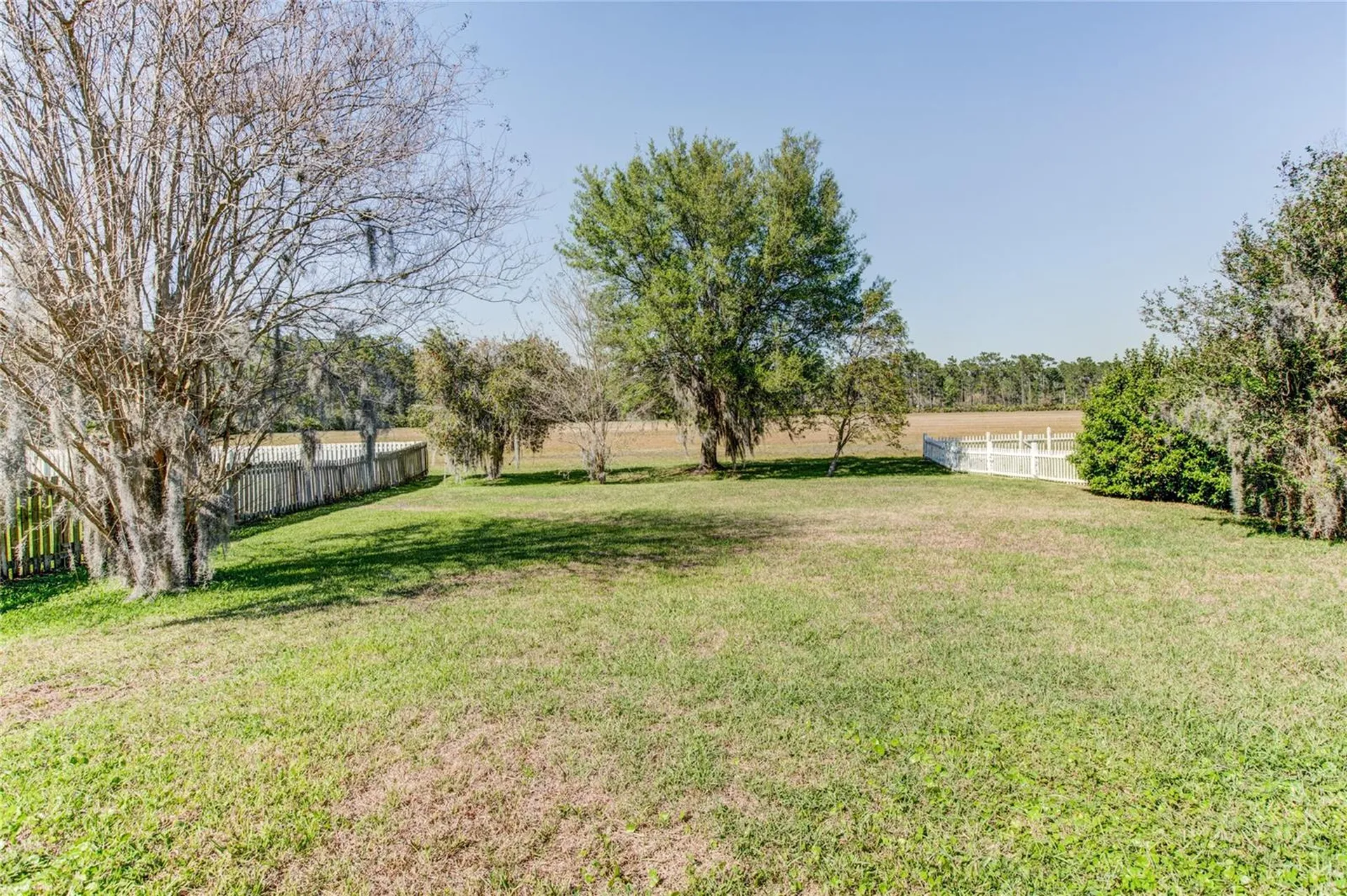 1551 Amaryllis Circle Orlando FL 32825