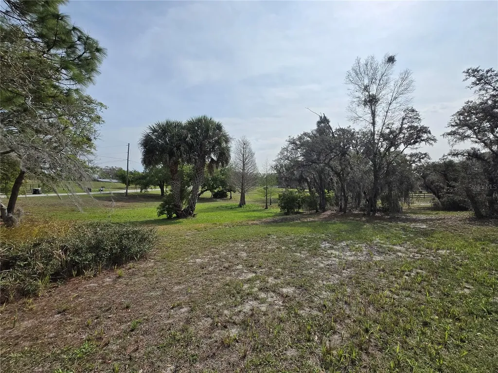 Petes Lane Davenport FL 33837