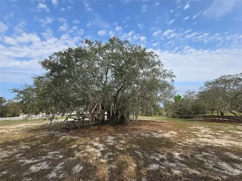 Petes Lane Davenport FL 33837