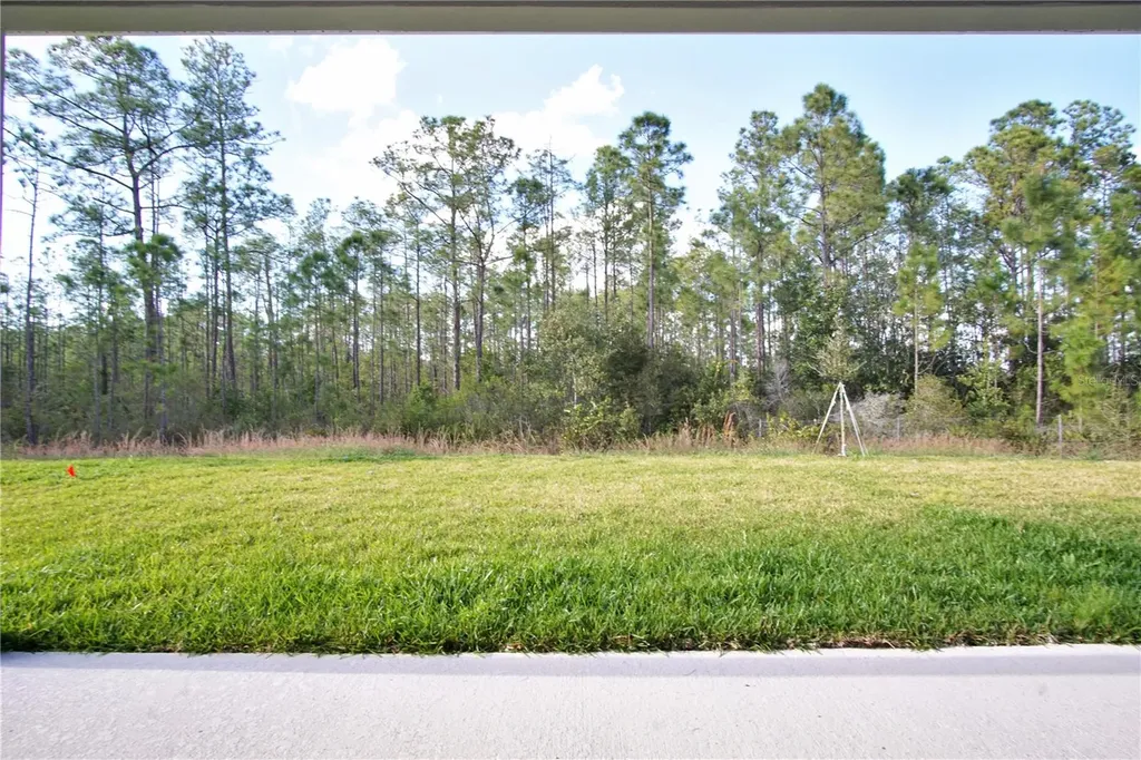 1419 Eucalyptus Way Davenport FL 33837