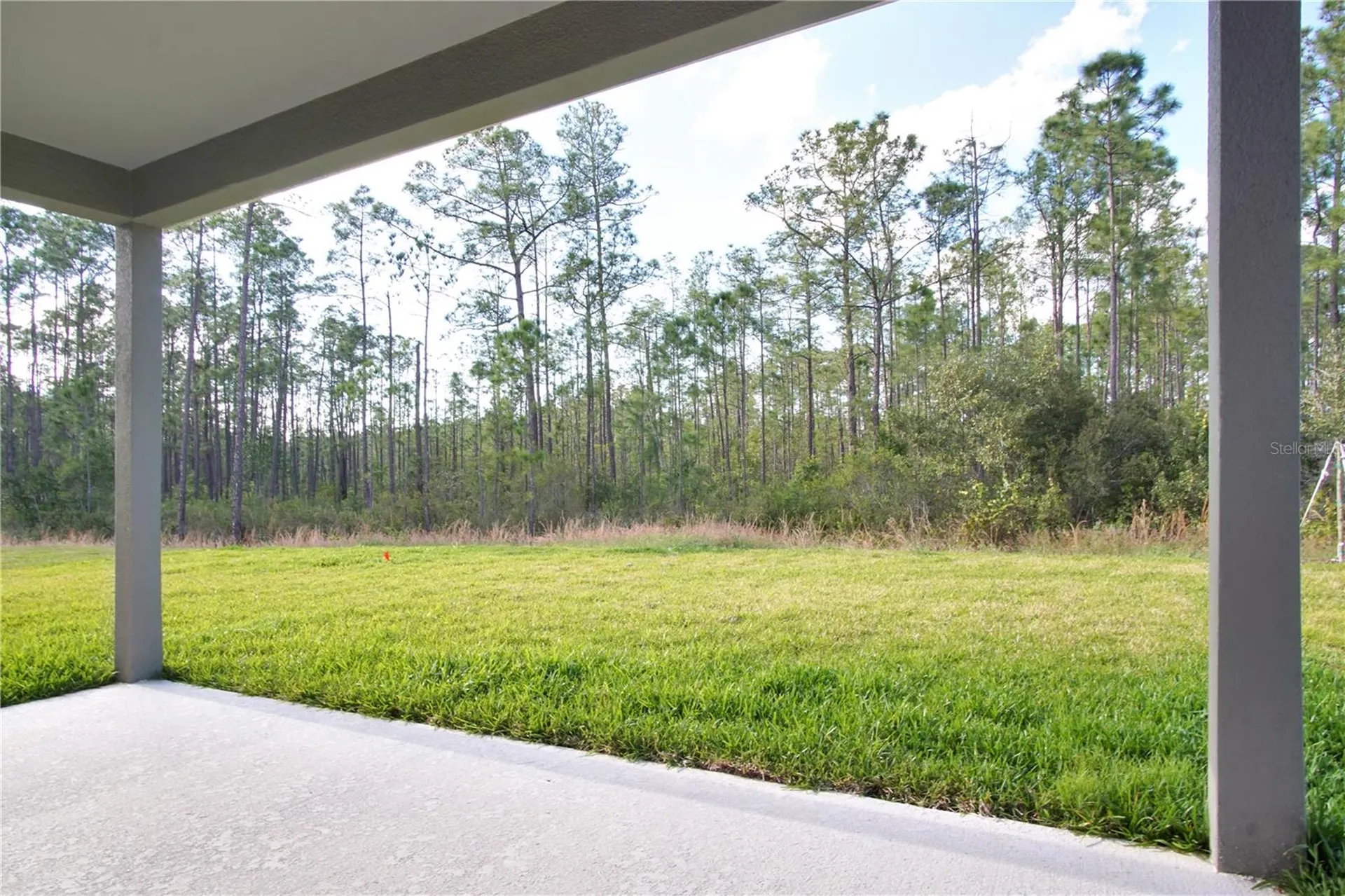 1419 Eucalyptus Way Davenport FL 33837