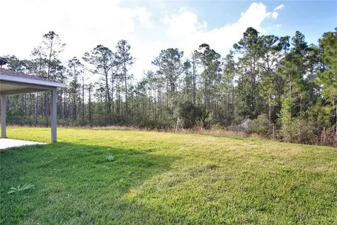 1419 Eucalyptus Way Davenport FL 33837
