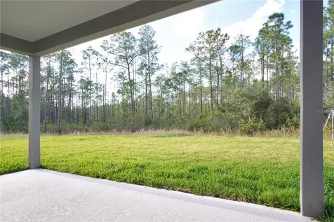 1419 Eucalyptus Way Davenport FL 33837