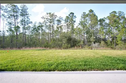1419 Eucalyptus Way Davenport FL 33837