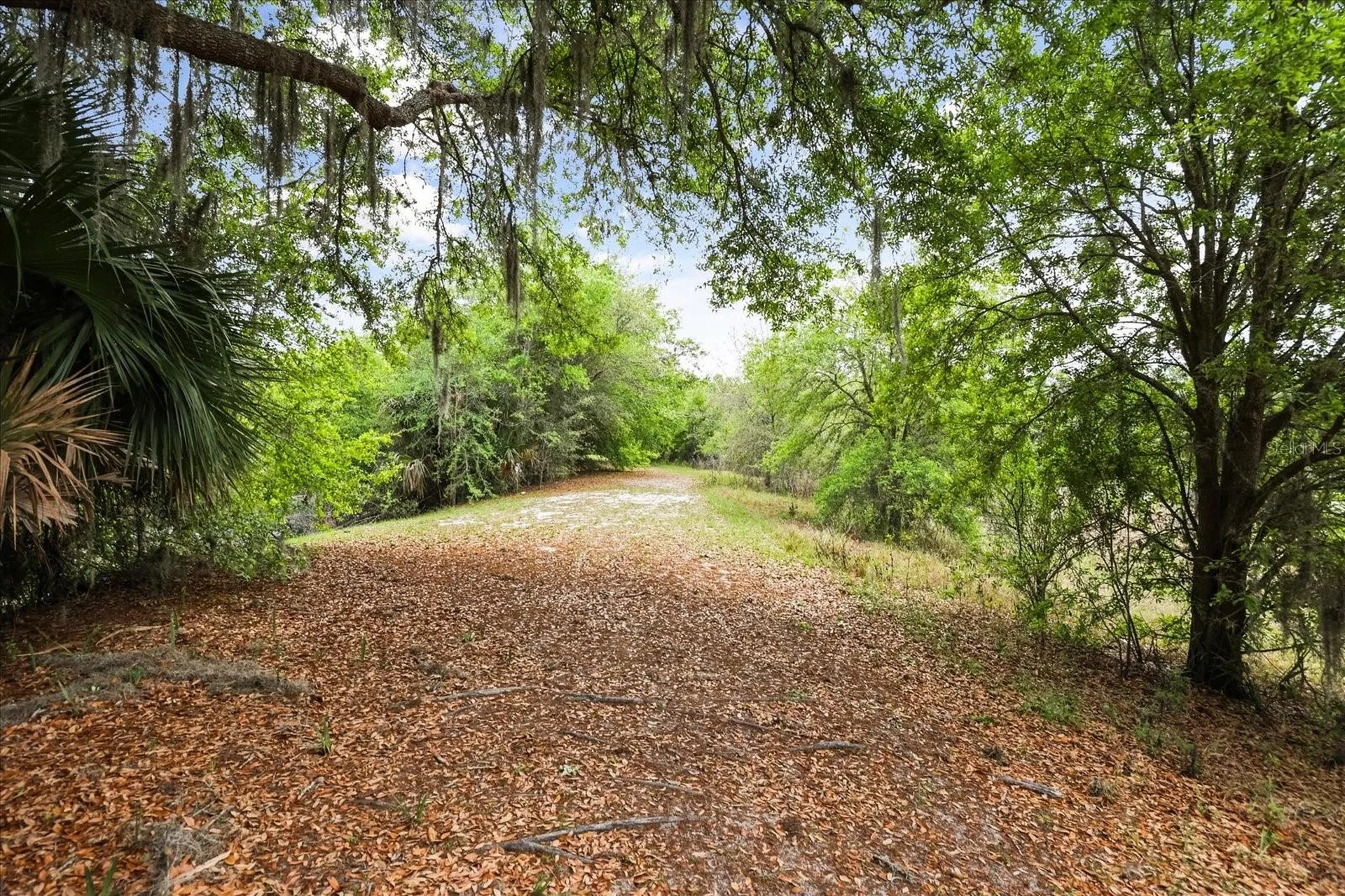 3229 Autumnwood Trail Apopka FL 32703