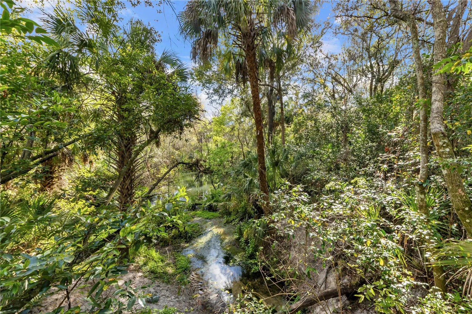 4188 Hanover Drive New Port Richey FL 34653