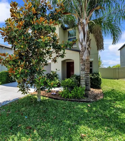 4188 Hanover Drive New Port Richey FL 34653