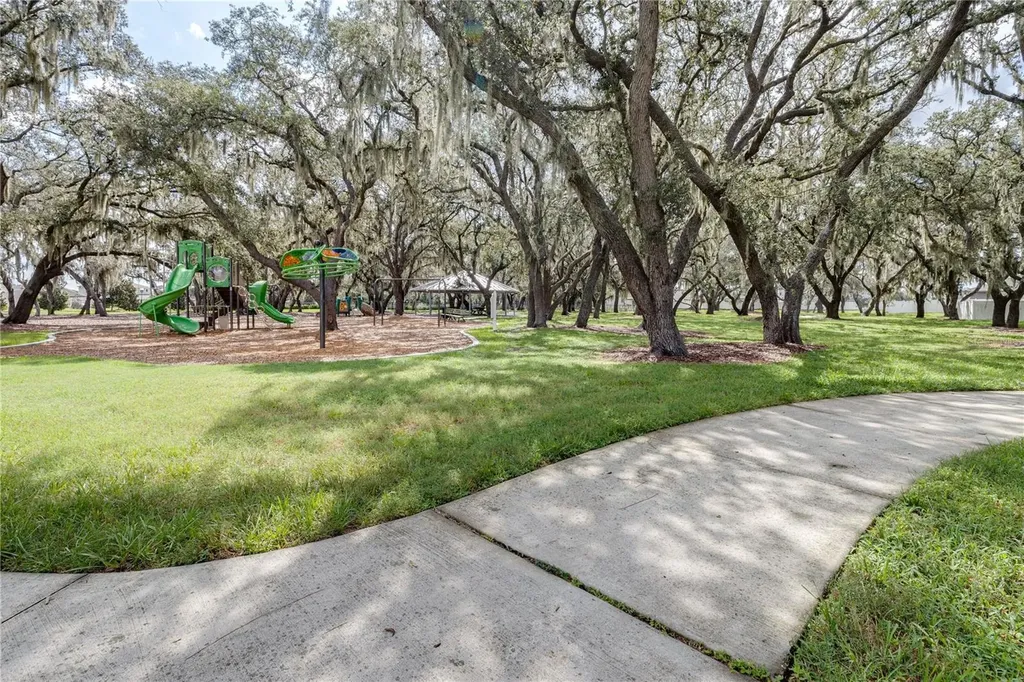 13315 Orca Sound Drive Riverview FL 33579