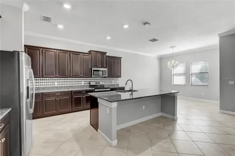13315 Orca Sound Drive Riverview FL 33579