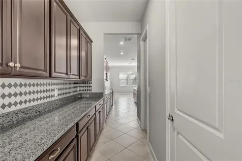 13315 Orca Sound Drive Riverview FL 33579