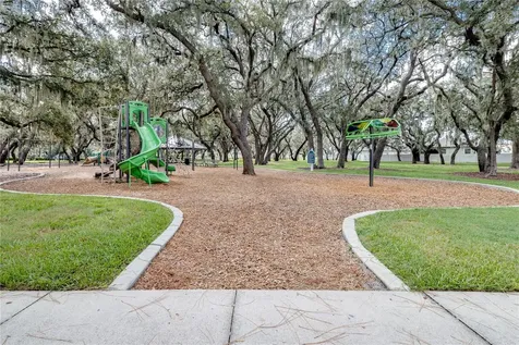 13315 Orca Sound Drive Riverview FL 33579