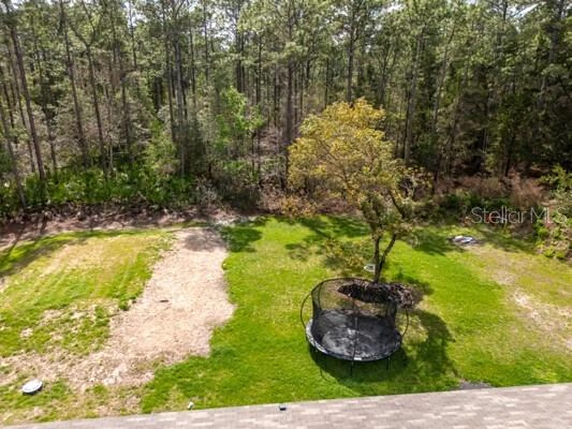 5631 Ironwood Avenue Bunnell FL 32110