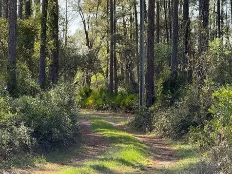 Tbd Us 19 Inglis FL 34449