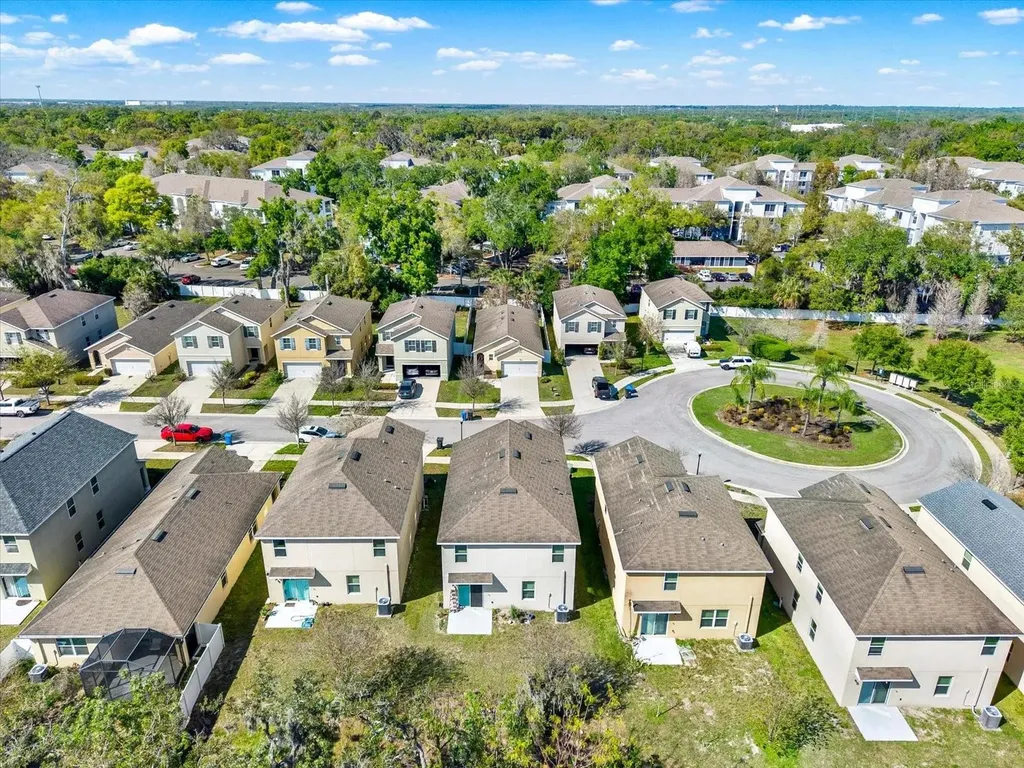 10219 Hawk Storm Avenue Tampa FL 33610