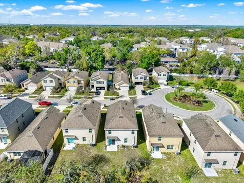 10219 Hawk Storm Avenue Tampa FL 33610