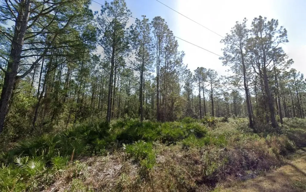 10620 Beckenger Avenue Hastings FL 32145
