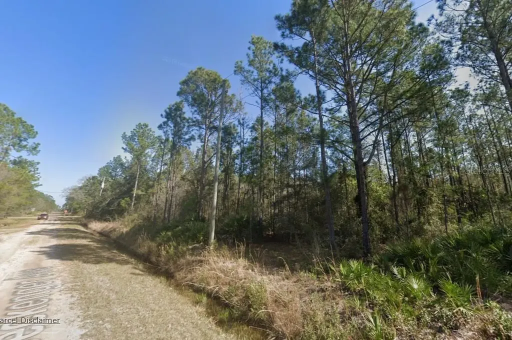 10620 Beckenger Avenue Hastings FL 32145
