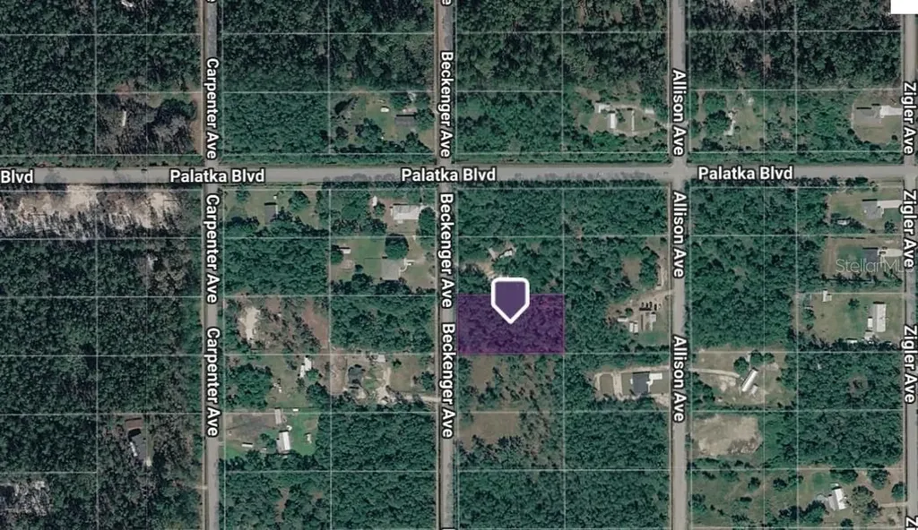 10620 Beckenger Avenue Hastings FL 32145