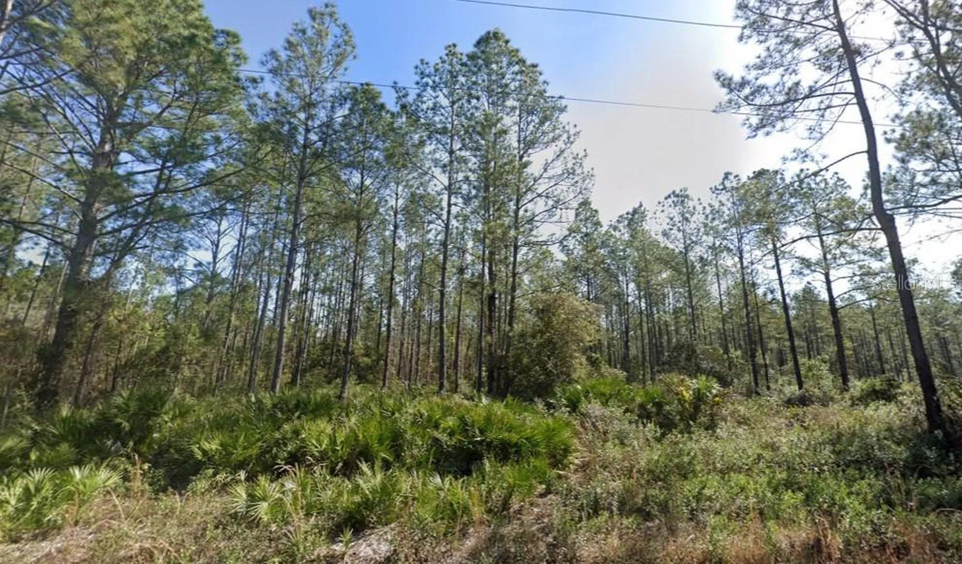 10620 Beckenger Avenue Hastings FL 32145
