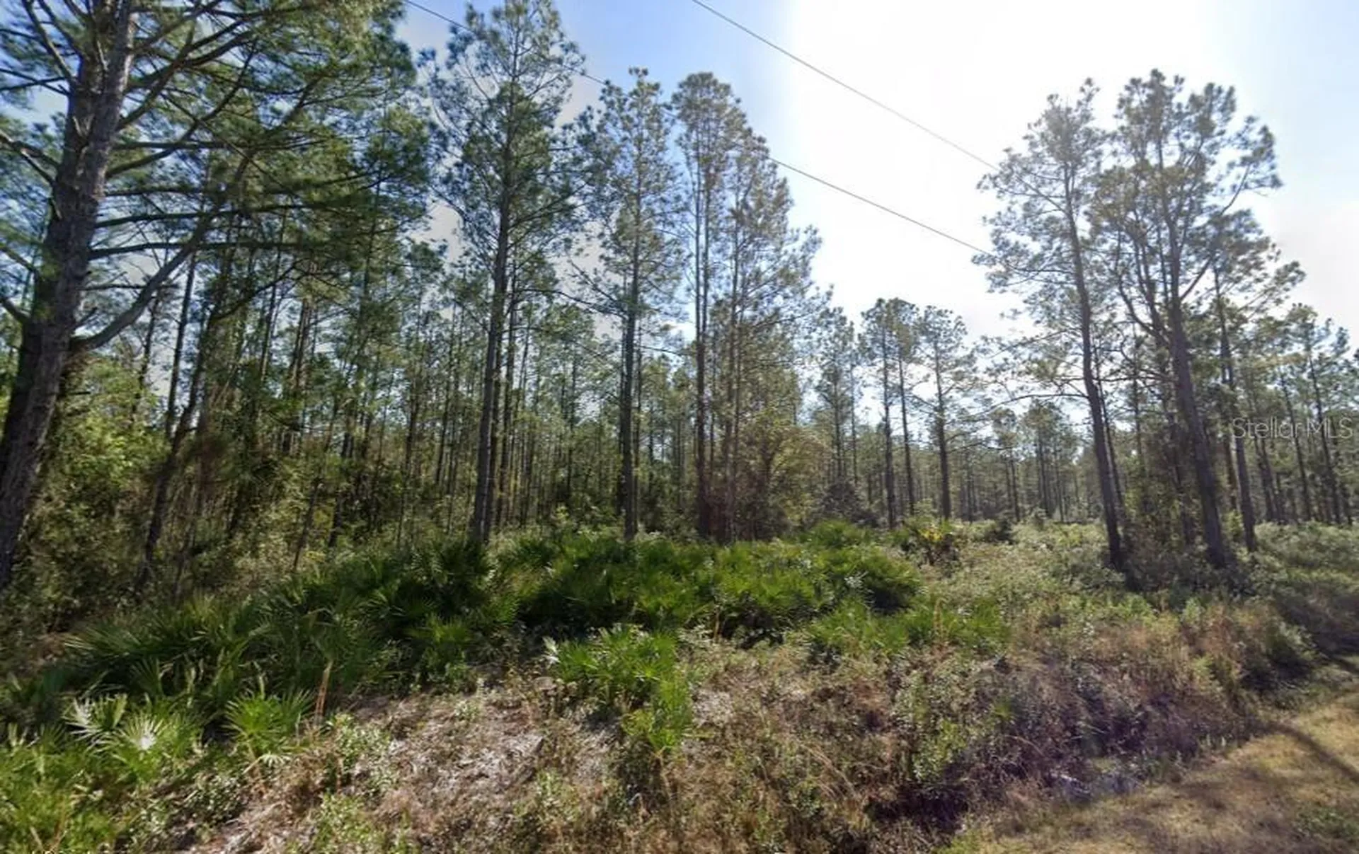 10620 Beckenger Avenue Hastings FL 32145