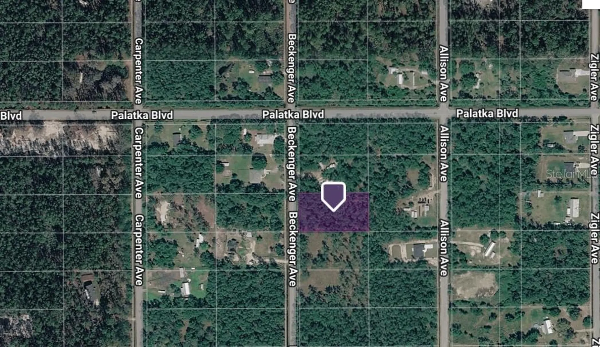 10620 Beckenger Avenue Hastings FL 32145