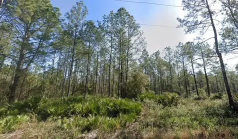 10620 Beckenger Avenue Hastings FL 32145