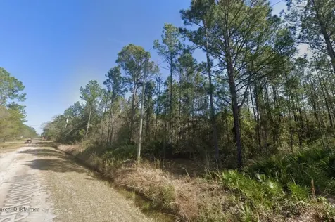 10620 Beckenger Avenue Hastings FL 32145