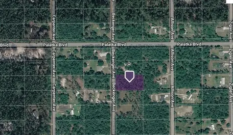 10620 Beckenger Avenue Hastings FL 32145