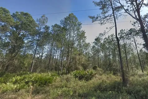 10620 Beckenger Avenue Hastings FL 32145