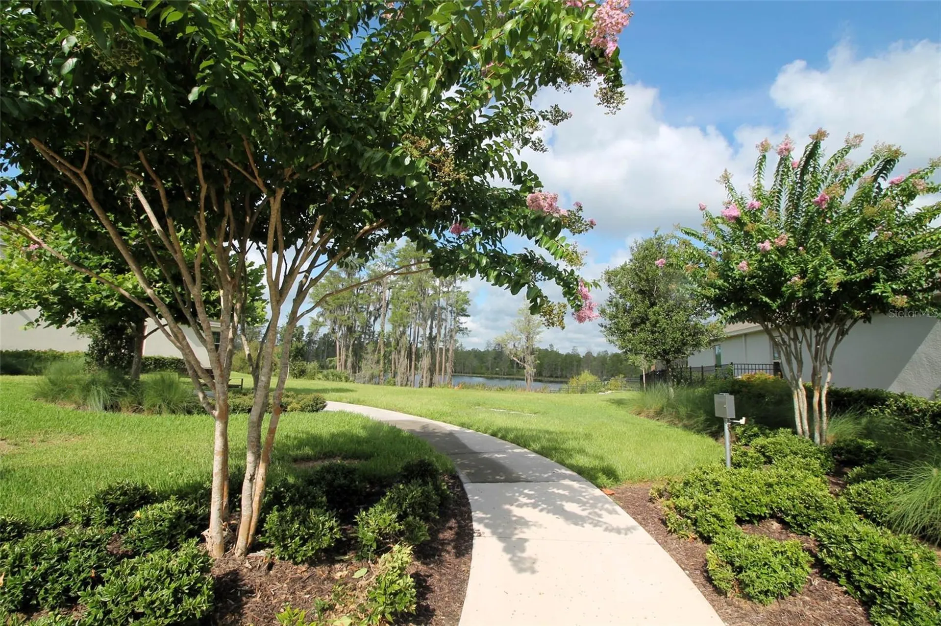13617 Salamander Street Winter Garden FL 34787