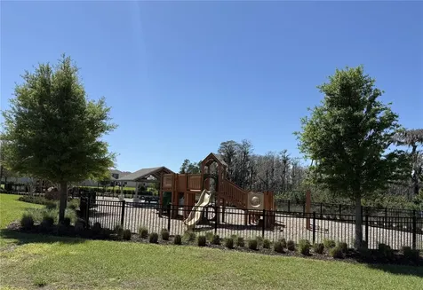 13617 Salamander Street Winter Garden FL 34787