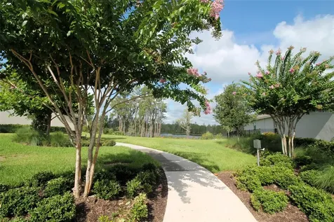 13617 Salamander Street Winter Garden FL 34787