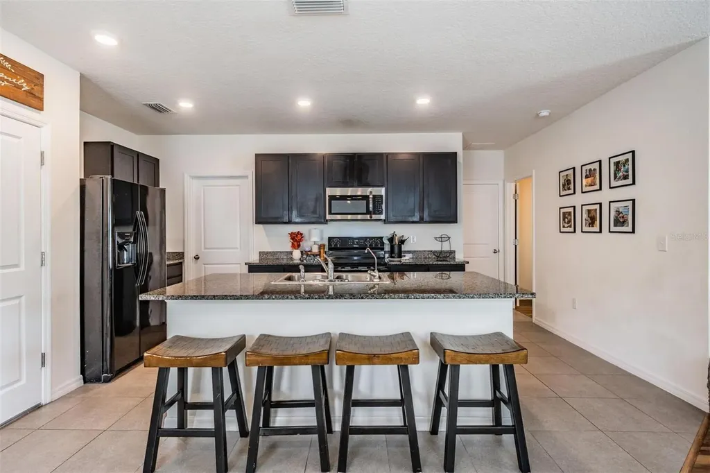 32699 Dashel Palm Lane Wesley Chapel FL 33543