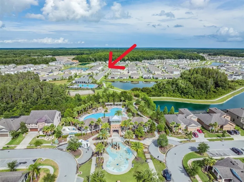 32699 Dashel Palm Lane Wesley Chapel FL 33543