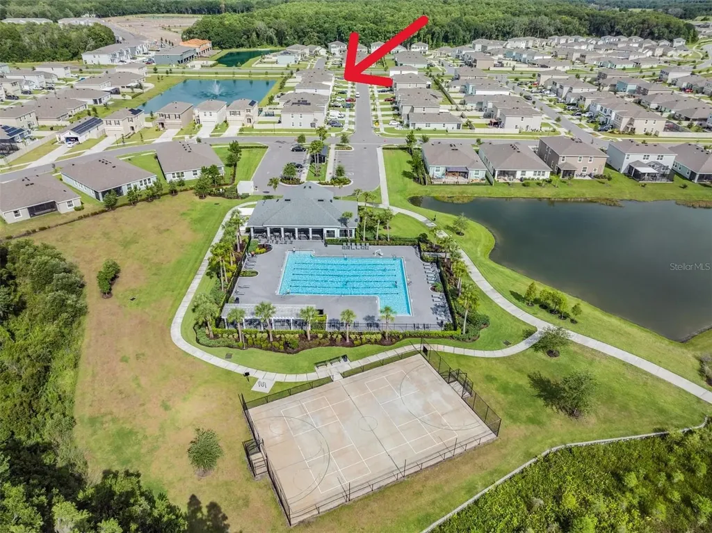 32699 Dashel Palm Lane Wesley Chapel FL 33543