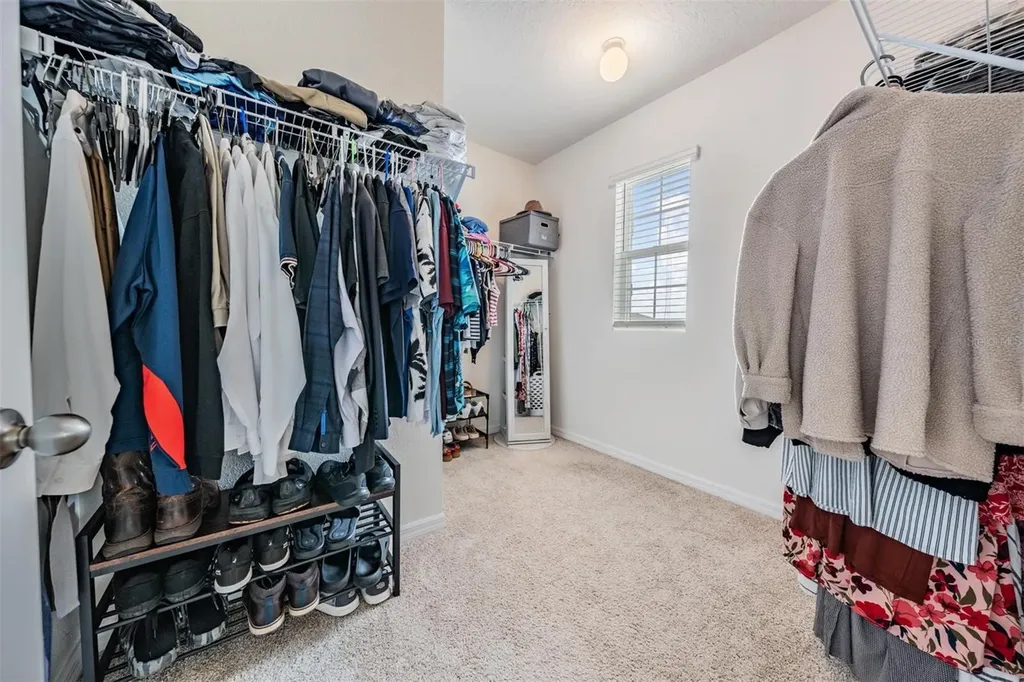 32699 Dashel Palm Lane Wesley Chapel FL 33543