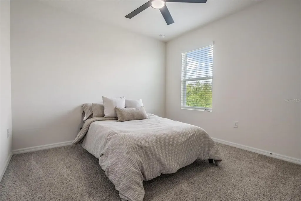32699 Dashel Palm Lane Wesley Chapel FL 33543