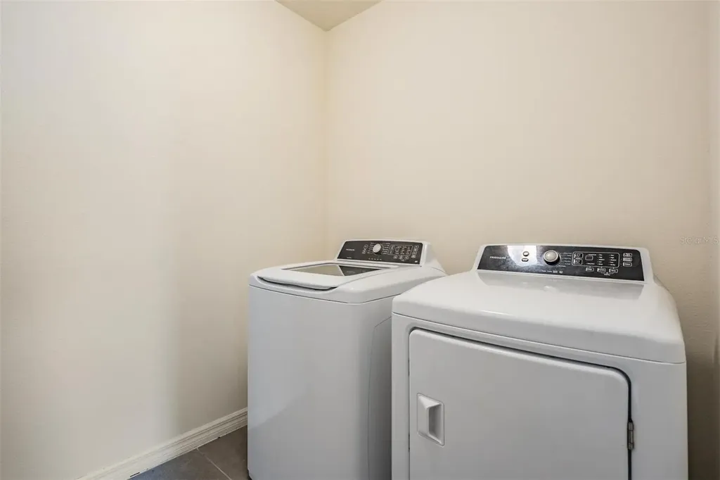 32699 Dashel Palm Lane Wesley Chapel FL 33543